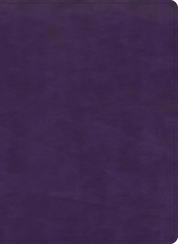206-0398 Product Image 1