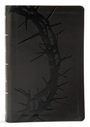 KJV Large Print Personal Size Reference Bible, Charcoal Leathertouch