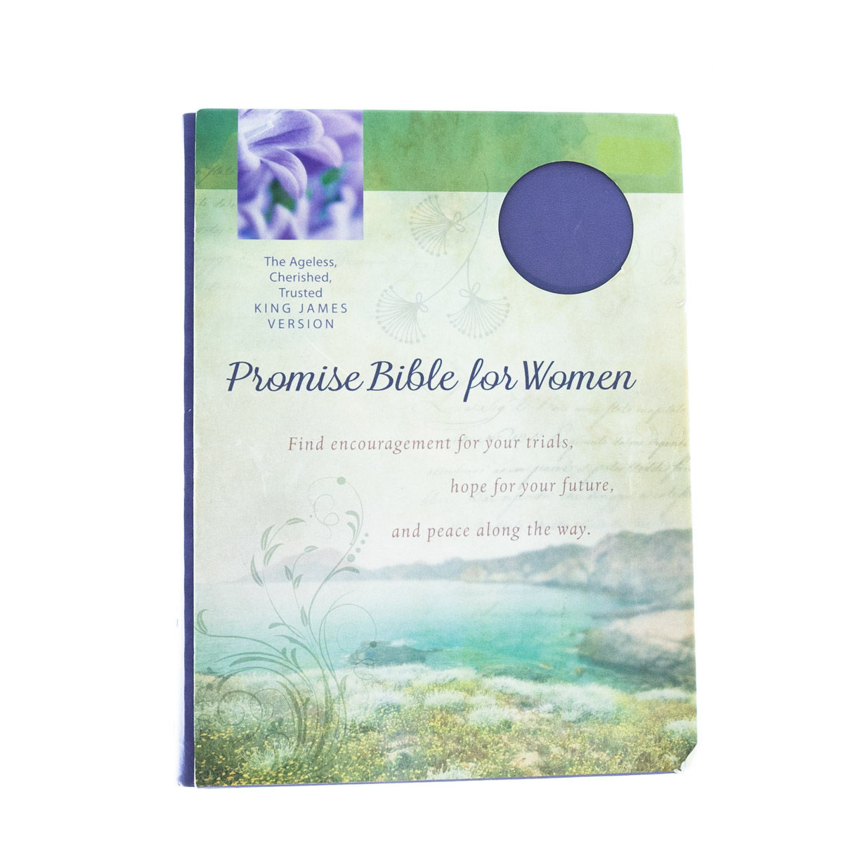 Image of KJV Bible Promise Book For Women