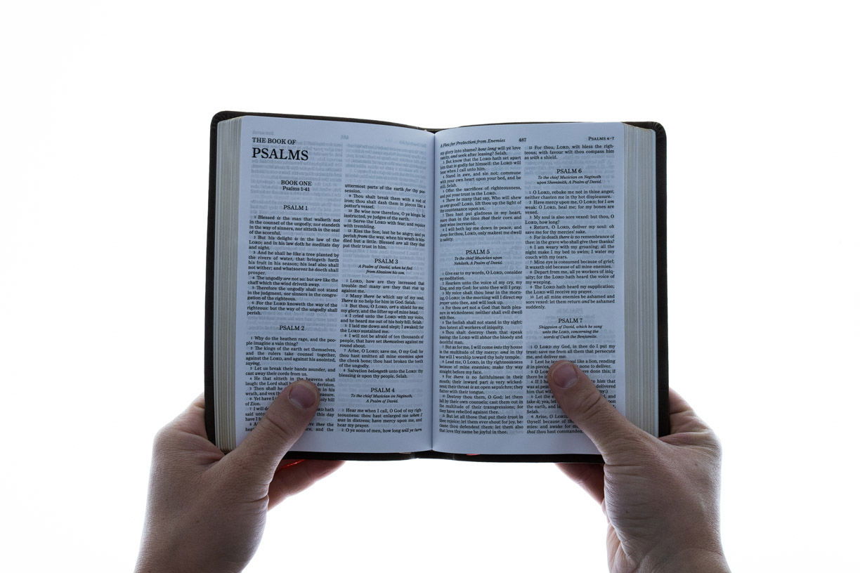 206-0503 Product Image 4