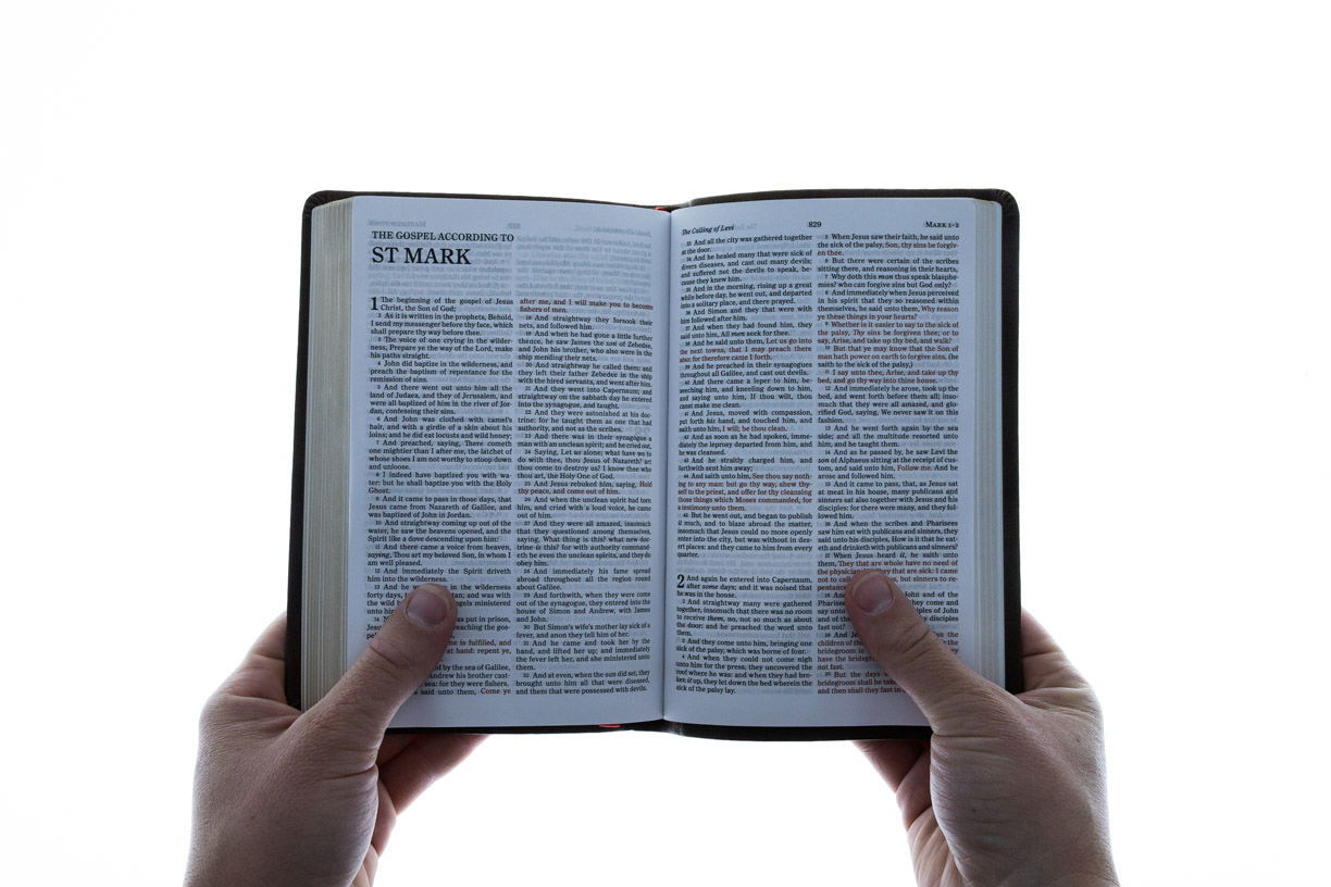 206-0503 Product Image 5