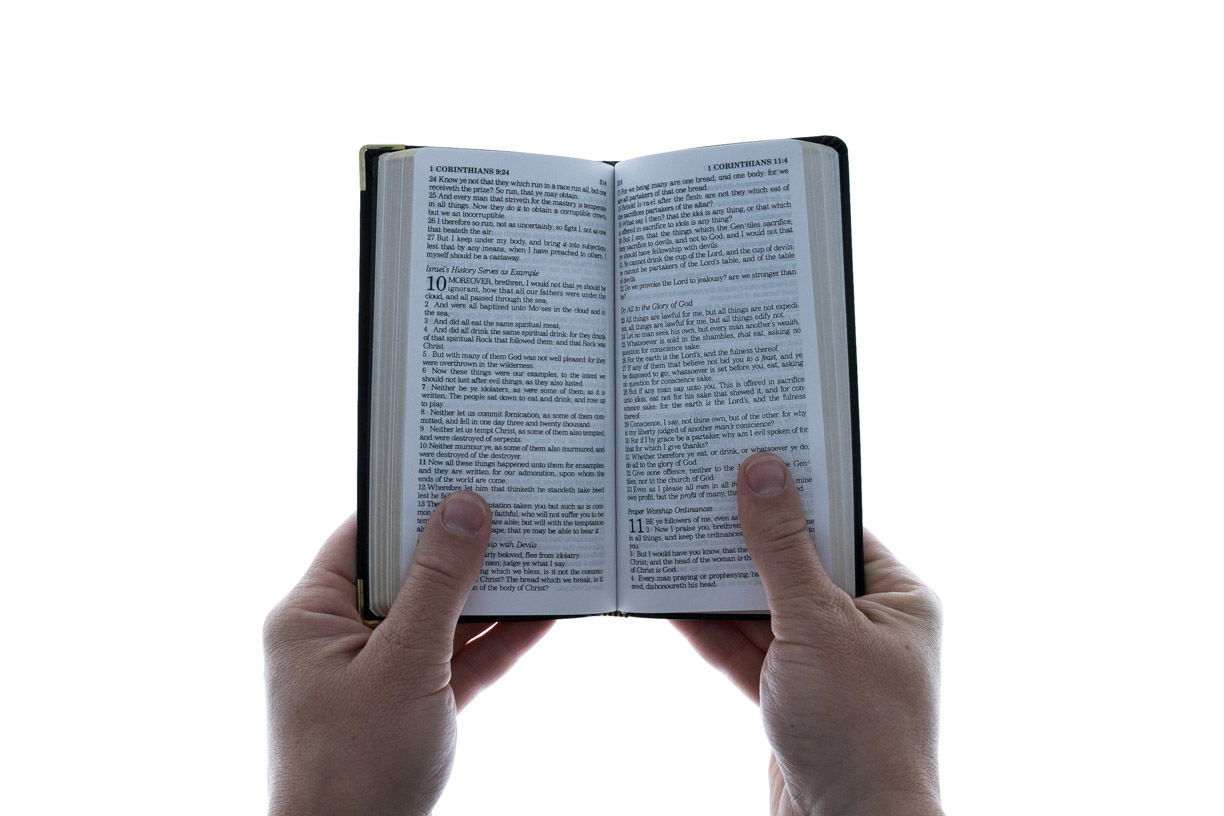 206-0523 Product Image 4