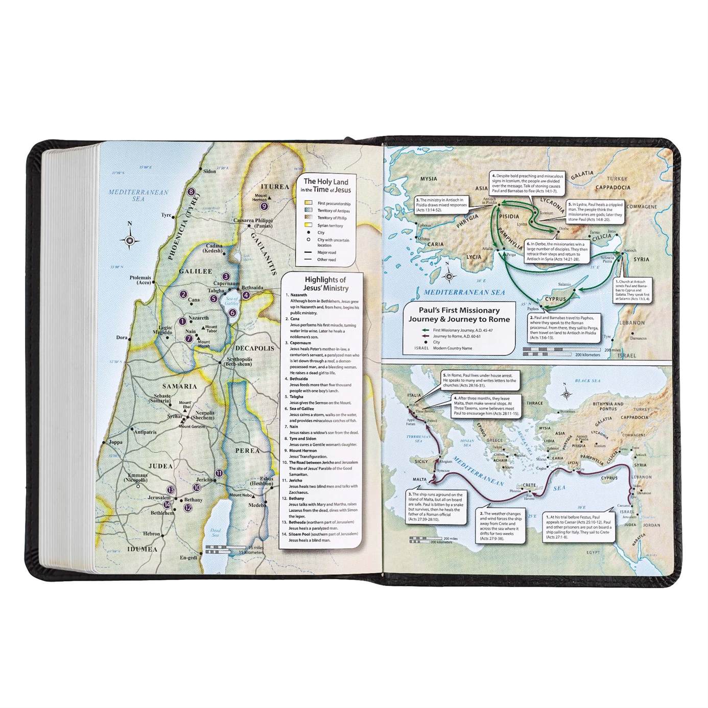 206-0558 Product Image 11