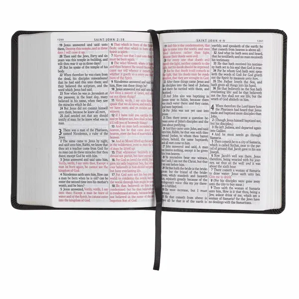 206-0558 Product Image 7