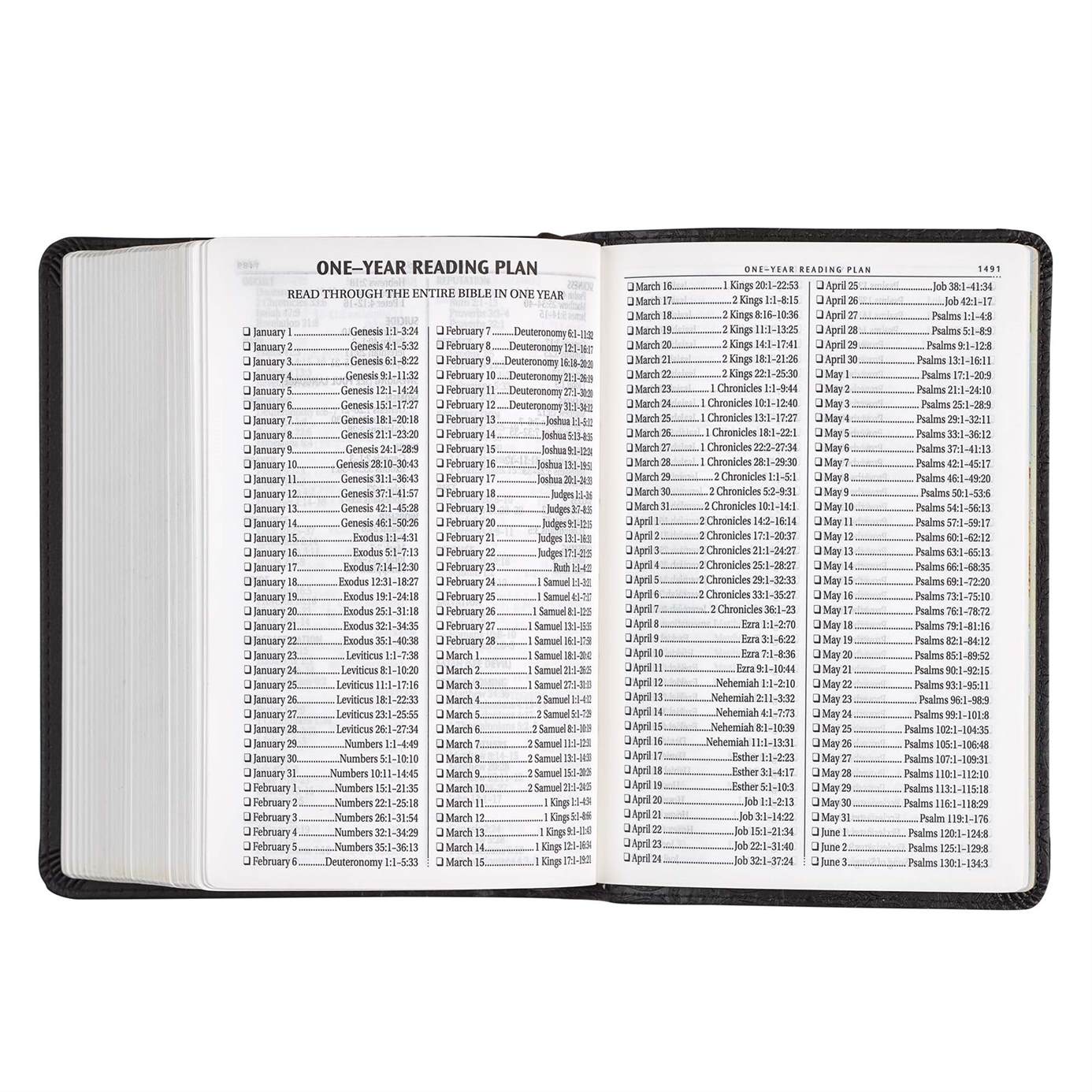 206-0558 Product Image 9