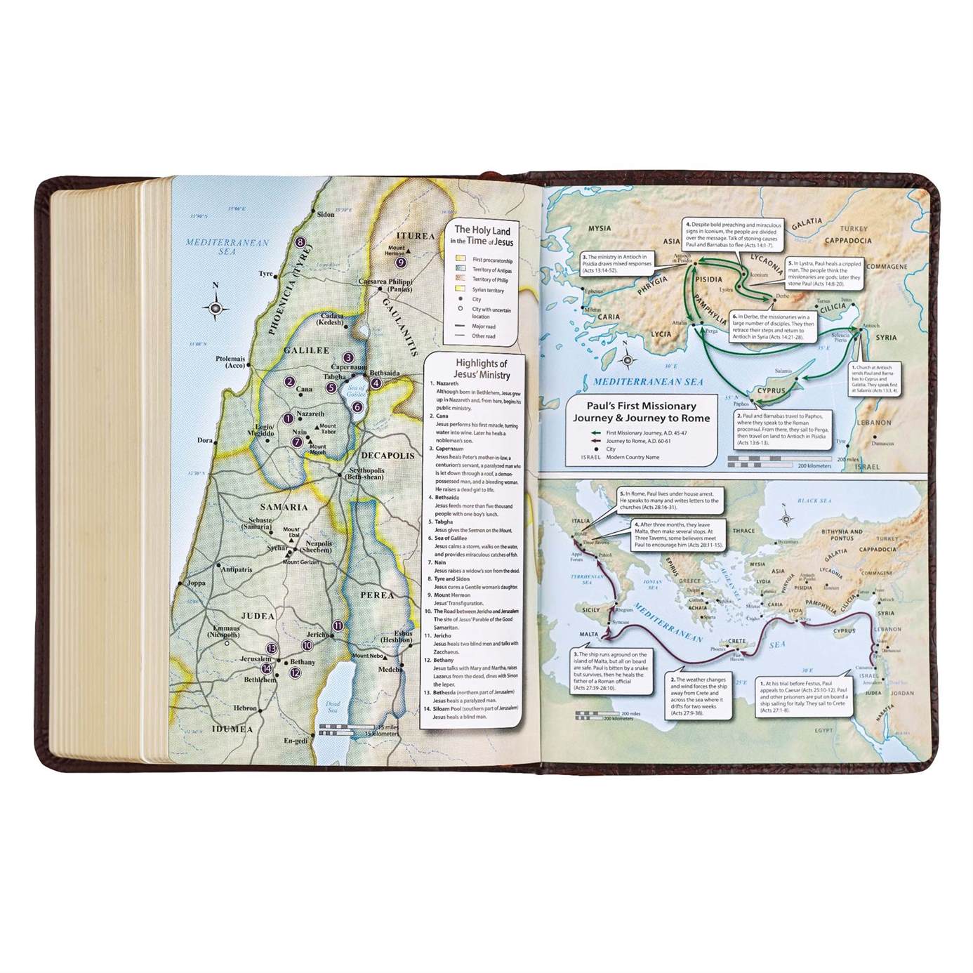 206-0584 Product Image 11