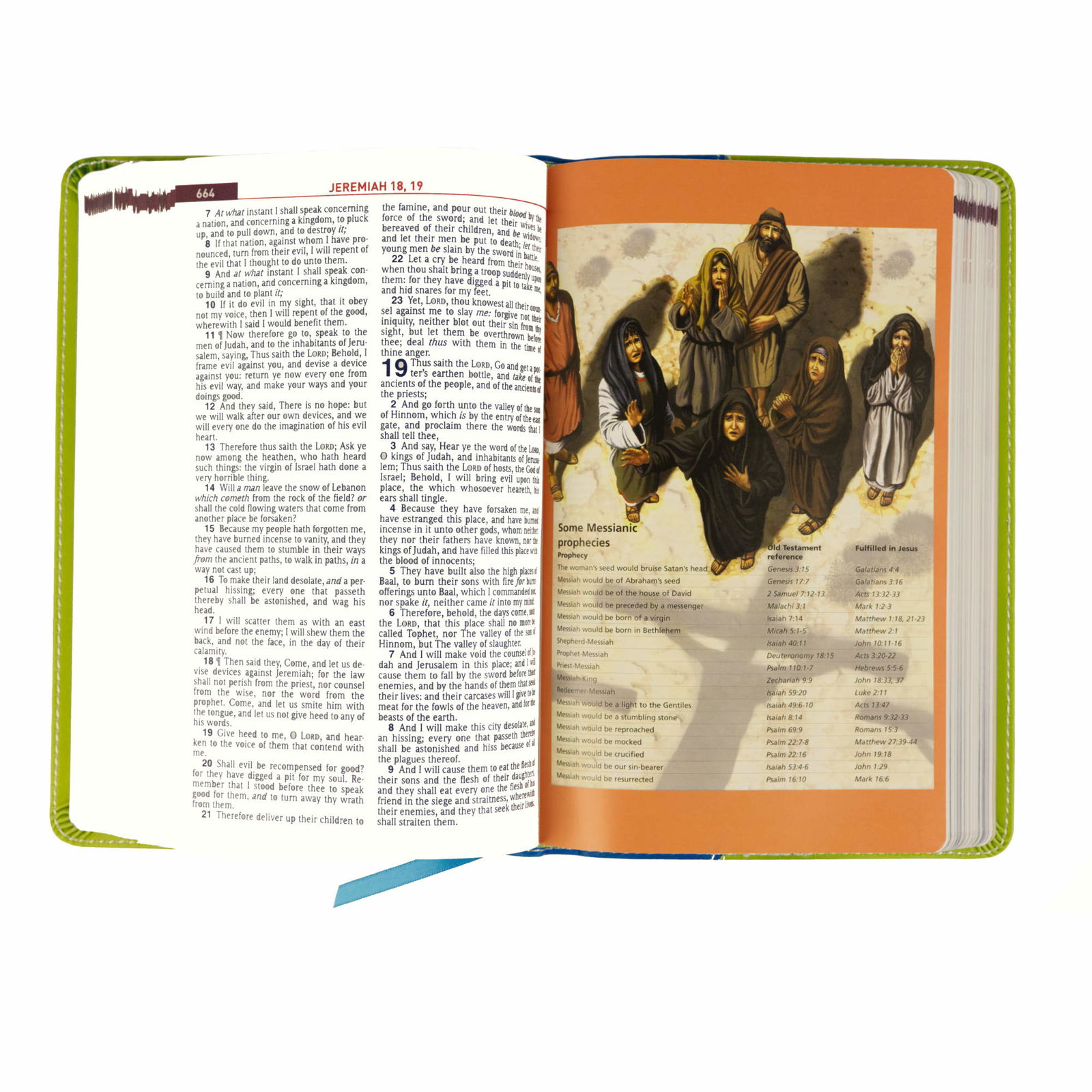 206-0621 Product Image 5