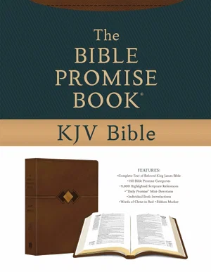 KJV Bible Promise Book KJV Bible Hickory Diamond