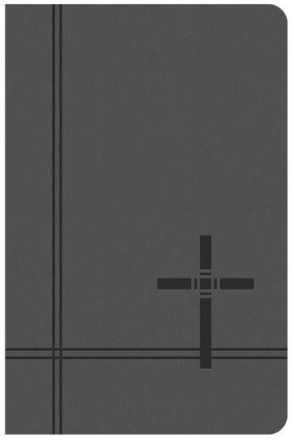 Image of KJV Deluxe Gift & Award Bible-Gray DiCarta