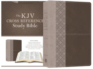 KJV Cross Reference Study Bible [Stone]