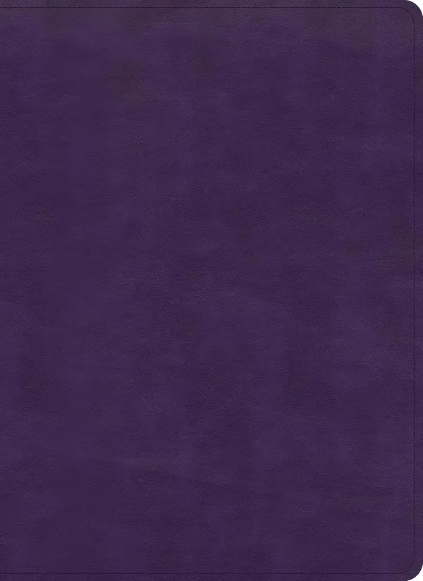 206-0745 Product Image 1