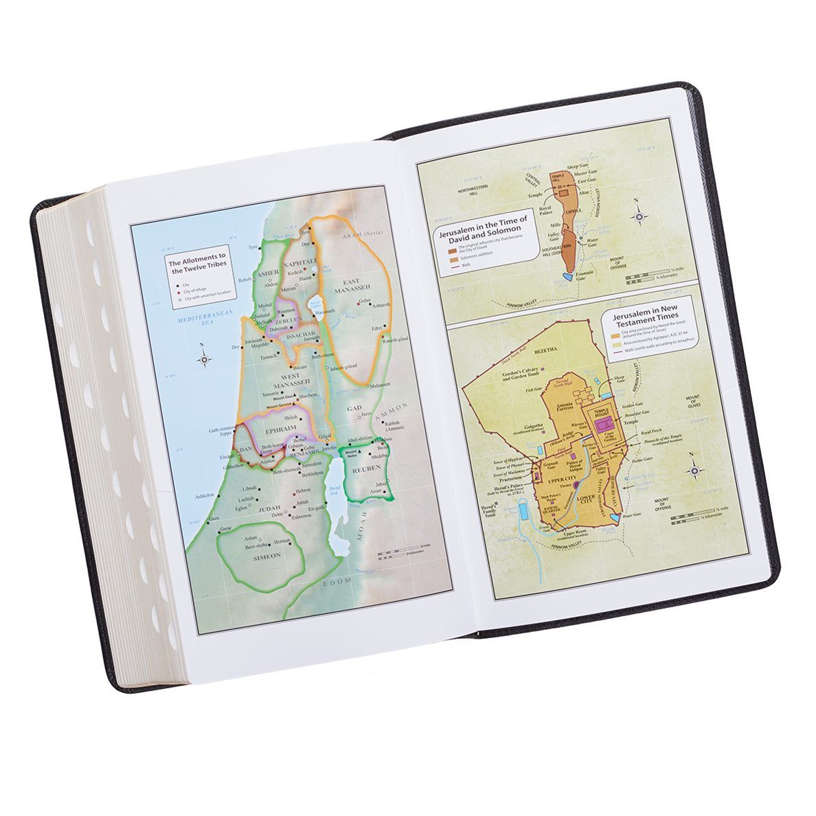 Product 206-0797 - View 7 206-0797 Product Image 7