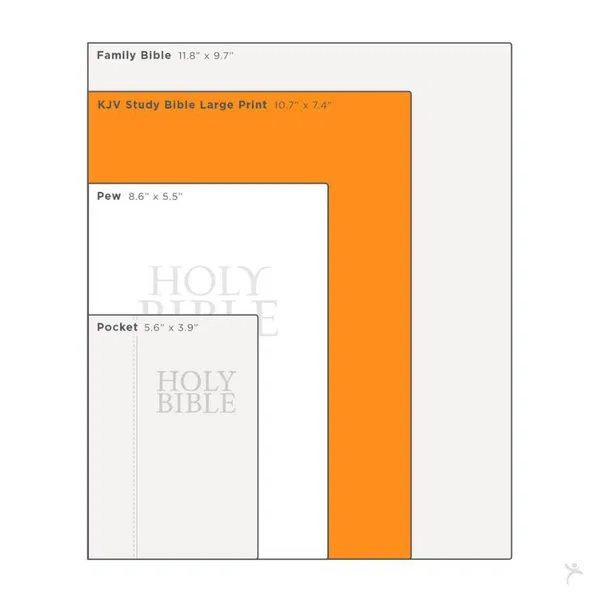 206-0831 Product Image 4