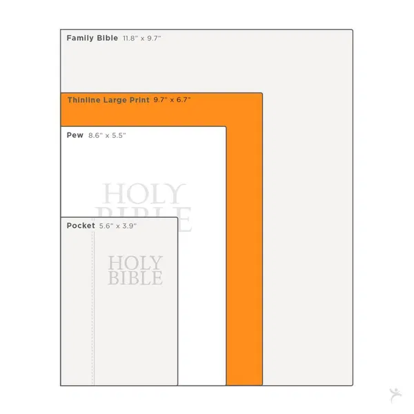 206-0836 Product Image 12
