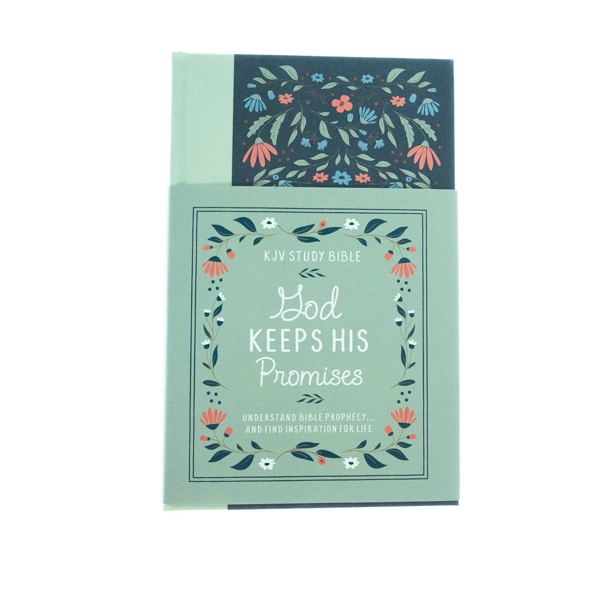 206-0843 Product Image 1