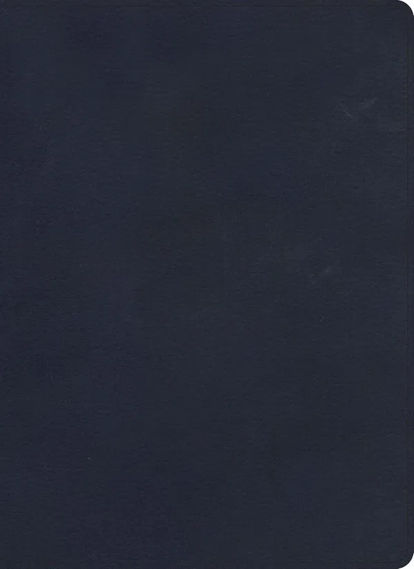 206-0860 Product Image 1