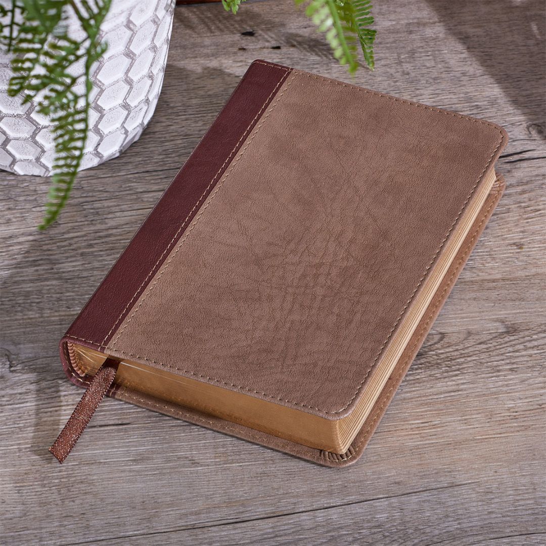 Product 206-0861 - View 8 206-0861 Product Image 8