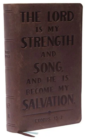 KJV Personal Size Reference Bible, Verse Art Cover - Brown