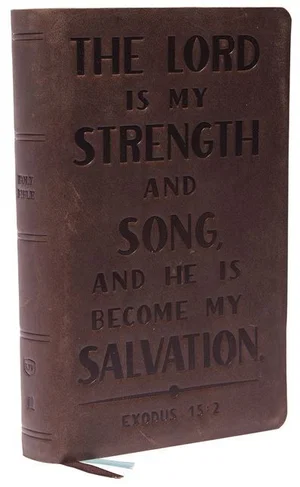 KJV Personal Size Reference Bible, Verse Art Cover - Brown