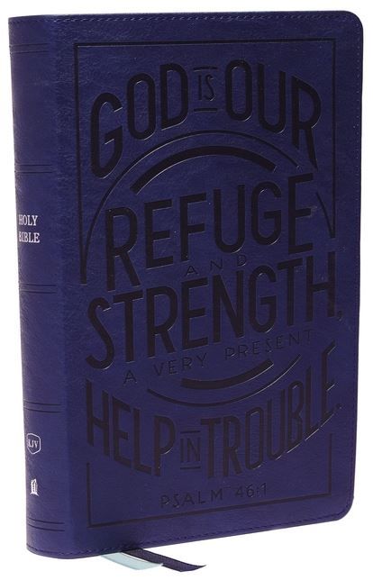 Image of KJV Personal Size Reference Bible, Verse Art Cover – Blue