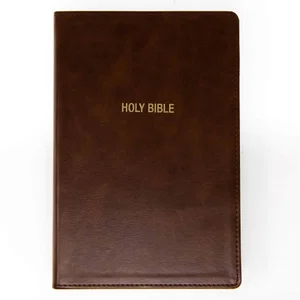 KJV Foundation Study Bible Brown