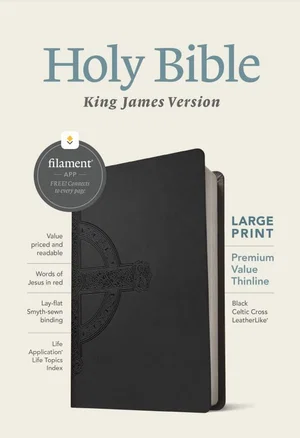 KJV Large Print Premium Value Thinline Black - Filament Enabled