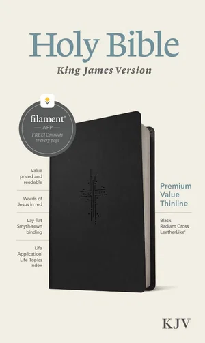 KJV Premium Value Thinline Bible Black - Filament Enabled