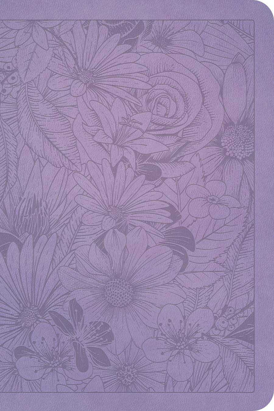 206-0900 Product Image 2