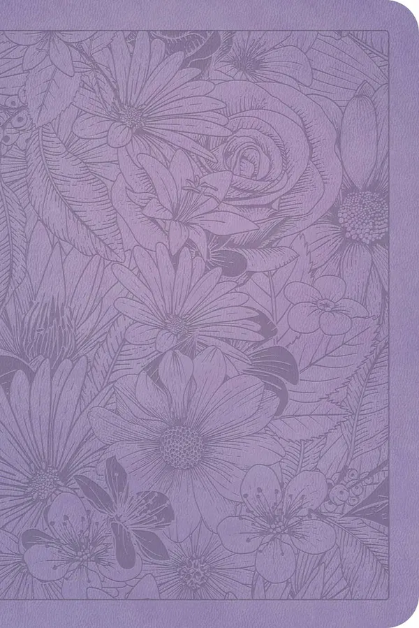 206-0900 Product Image 2
