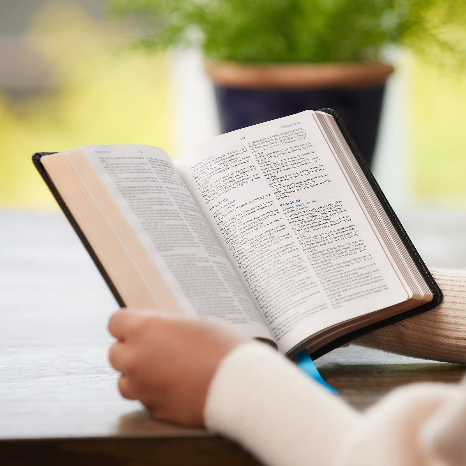 206-0908 Product Image 2