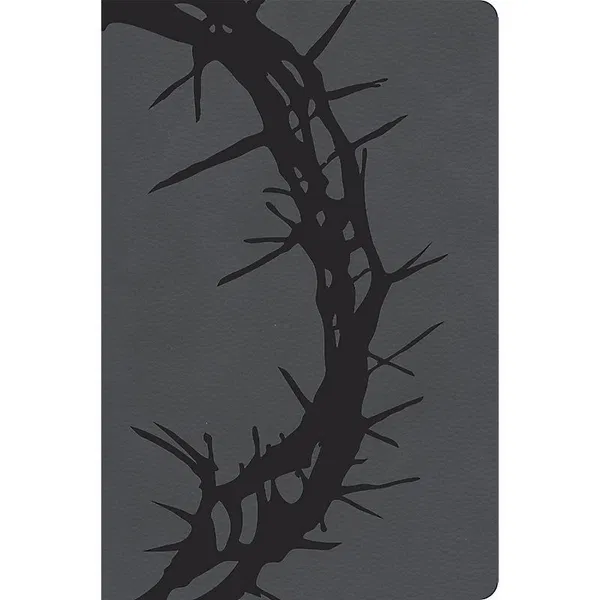 206-0917 Product Image 1