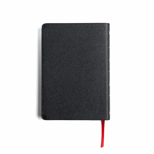 206-0918 Product Image 8