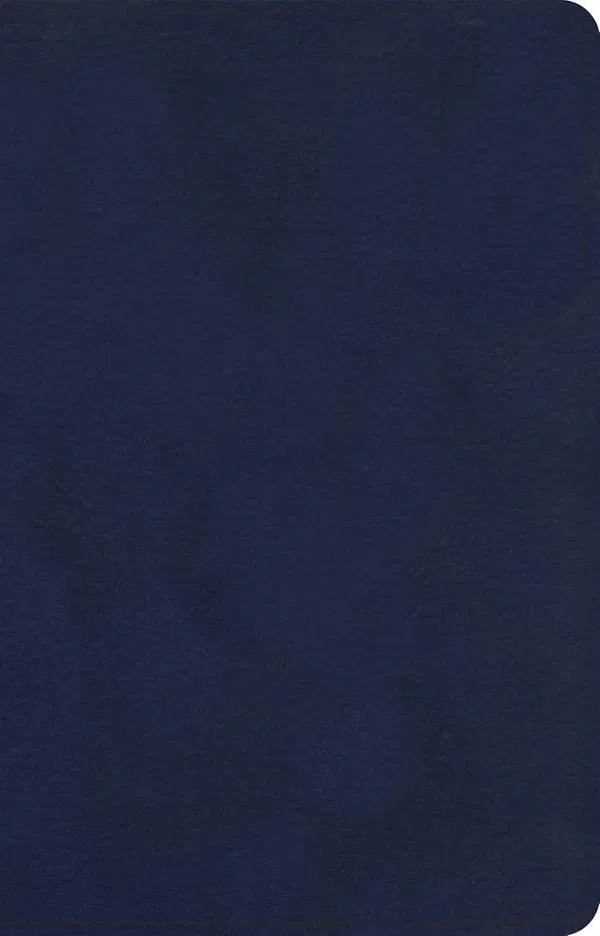 206-0919 Product Image 1