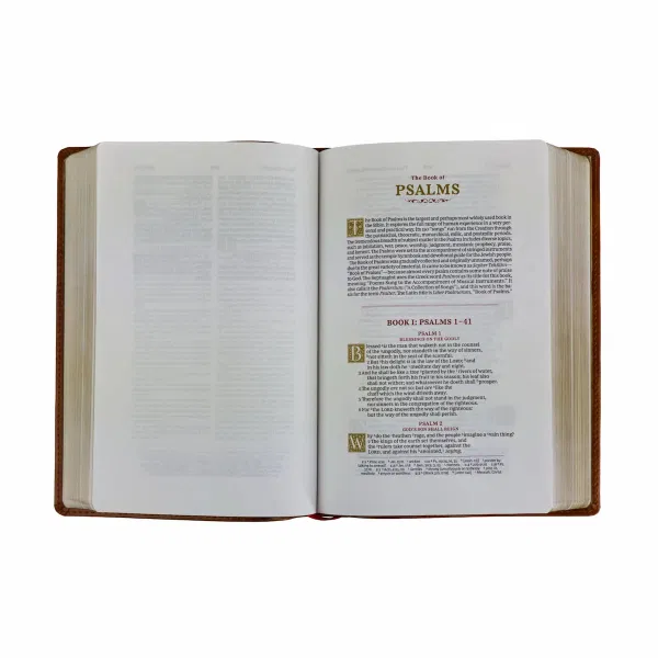 206-0946 Product Image 2