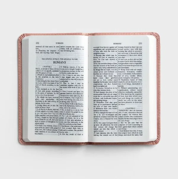 206-0969 Product Image 5