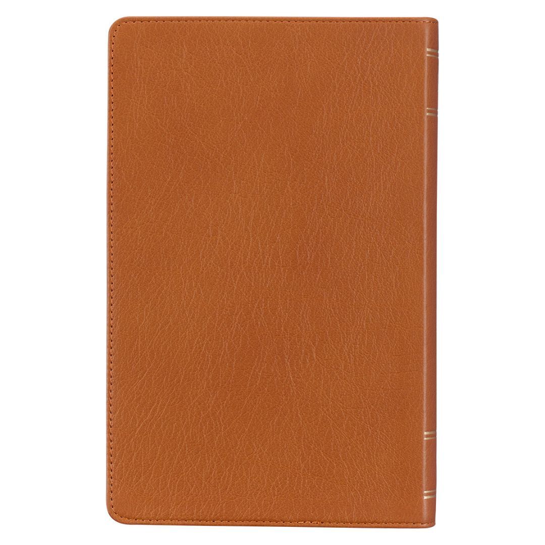 206-1001 Product Image 2