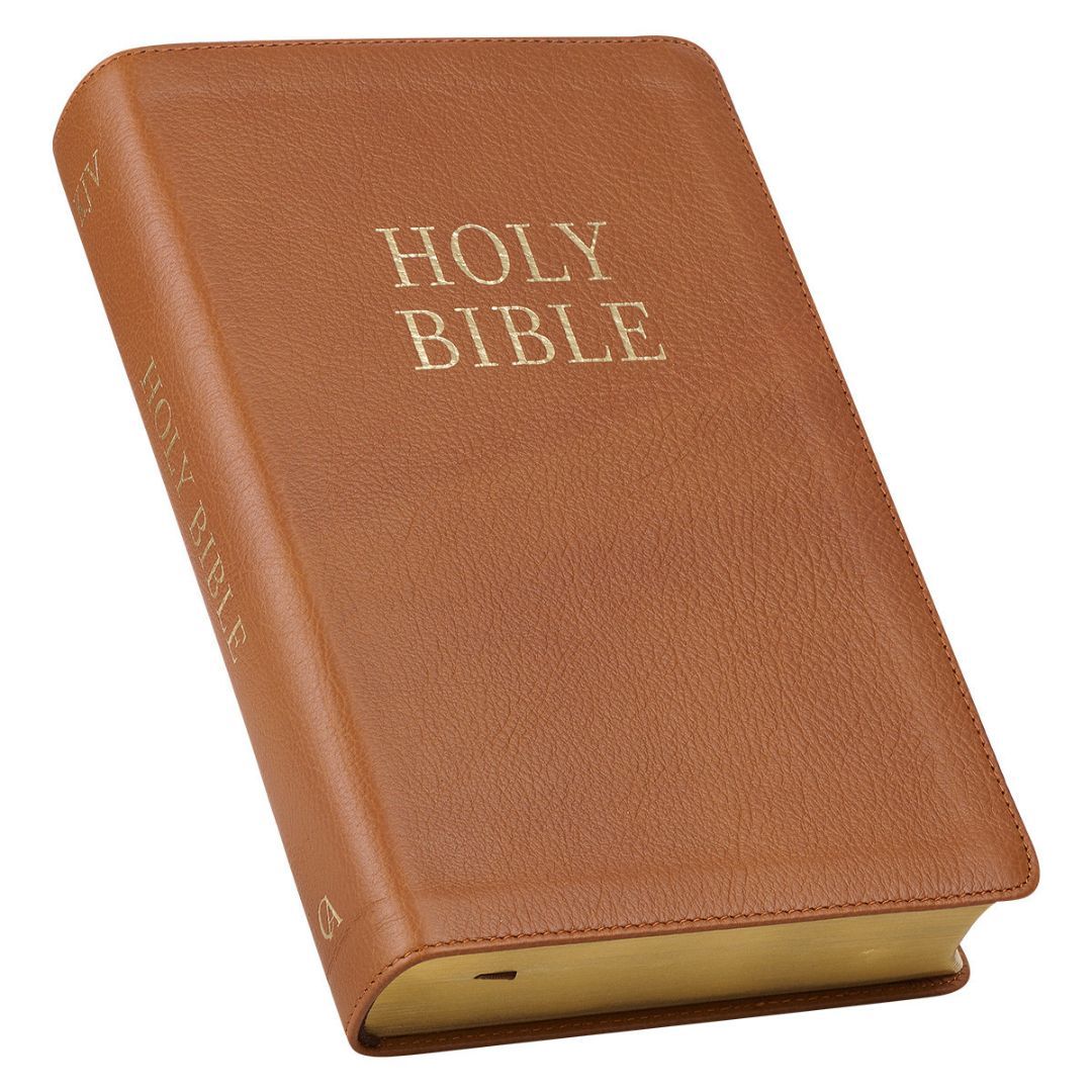 206-1001 Product Image 3