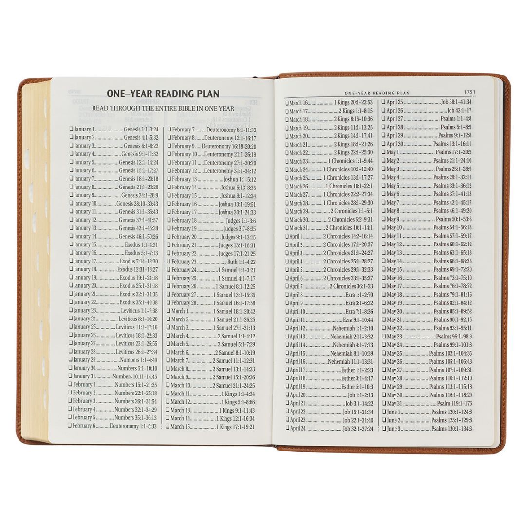 206-1001 Product Image 9