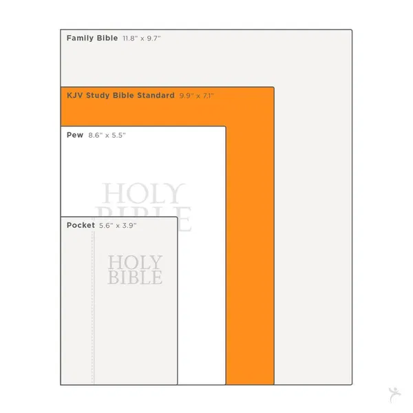 206-1006 Product Image 4