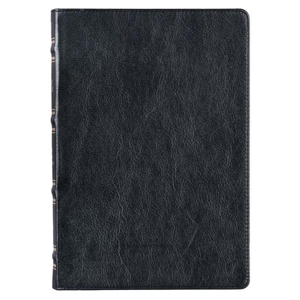 206-1017 Product Image 1