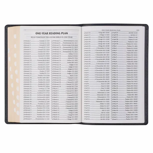 206-1017 Product Image 10