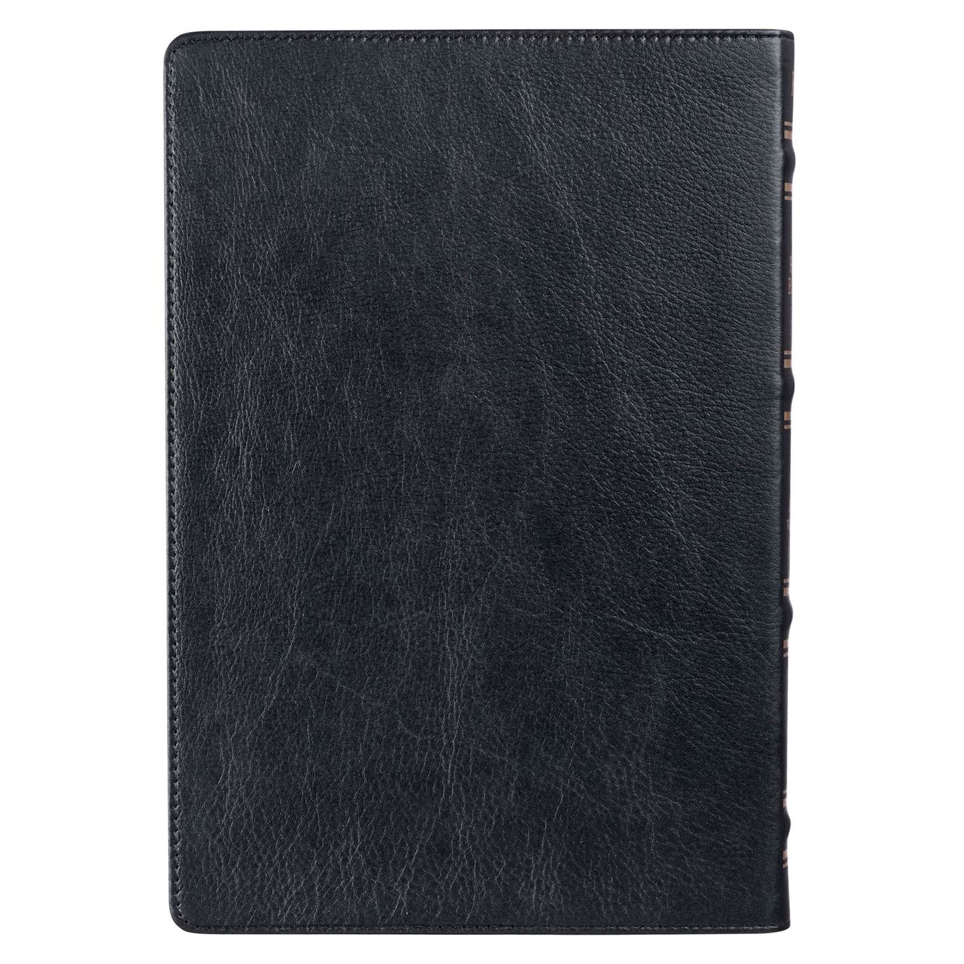 206-1017 Product Image 3