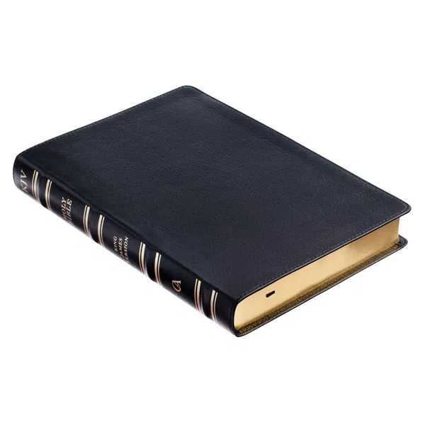 206-1017 Product Image 5