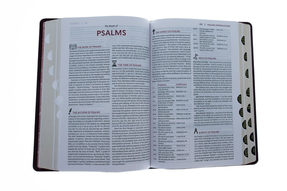 206-1036 Product Image 3