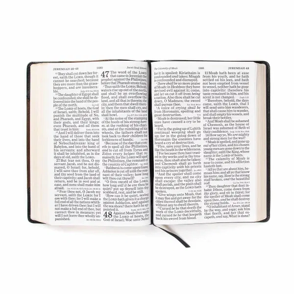 206-1061 Product Image 5