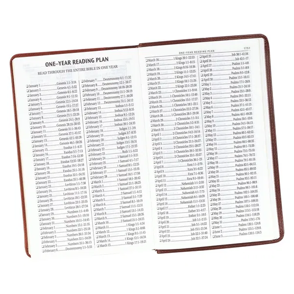 206-1070 Product Image 10