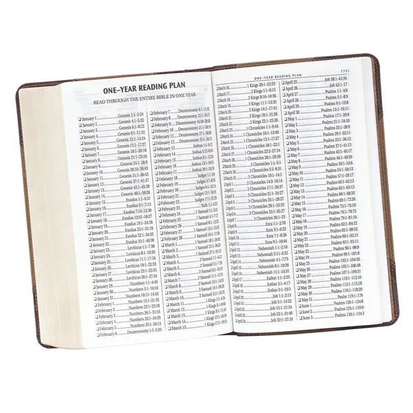206-1071 Product Image 10