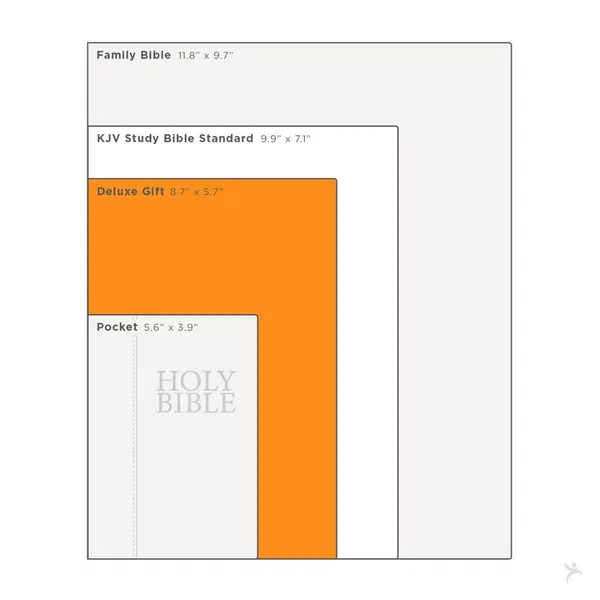 206-1085 Product Image 13