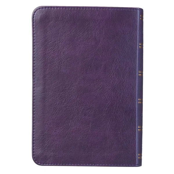 206-1102 Product Image 2
