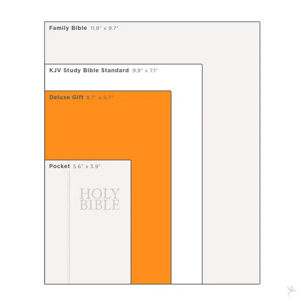 206-1103 Product Image 12